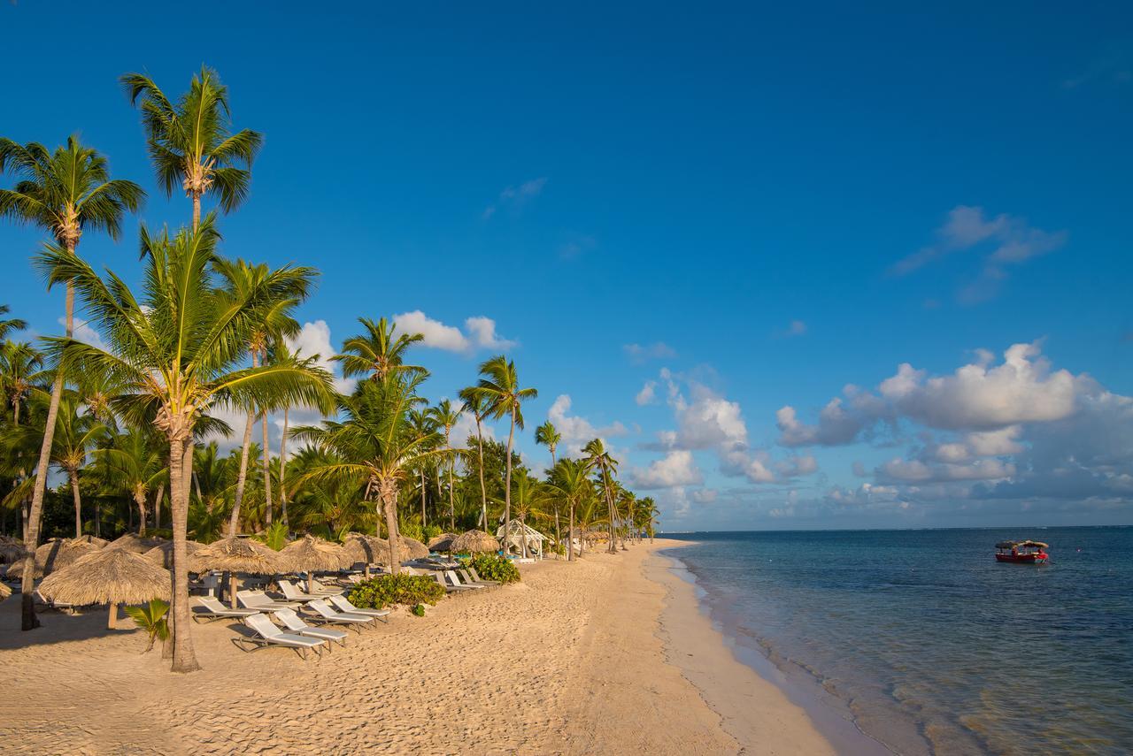 加泰罗尼亚皇家巴瓦罗酒店 - 全包 - 仅限成人 蓬塔卡纳 外观 照片 Beach at Iberostar Grand Bávaro