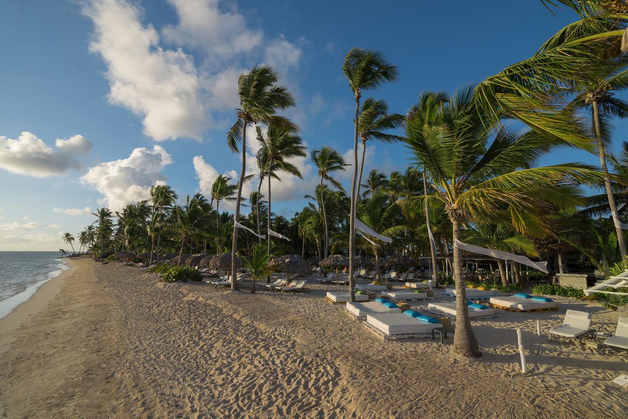 加泰罗尼亚皇家巴瓦罗酒店 - 全包 - 仅限成人 蓬塔卡纳 外观 照片 Beach at the resort